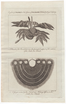 A Branch of the Bread-fruit tree the principal support of the native os the South Sea Islands  A Gorget worn by the Naval and Military Officers in the South Sea Islands